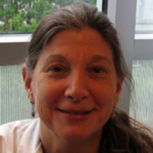 Lynn Schlanger headshot