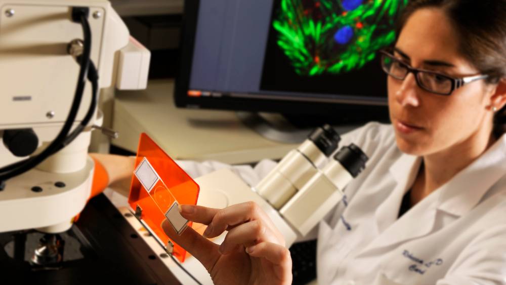 Faculty in Lab