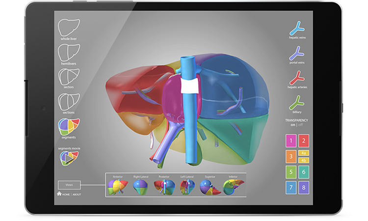 Posterior liver anatomy from the liver app, as viewed on an iPad