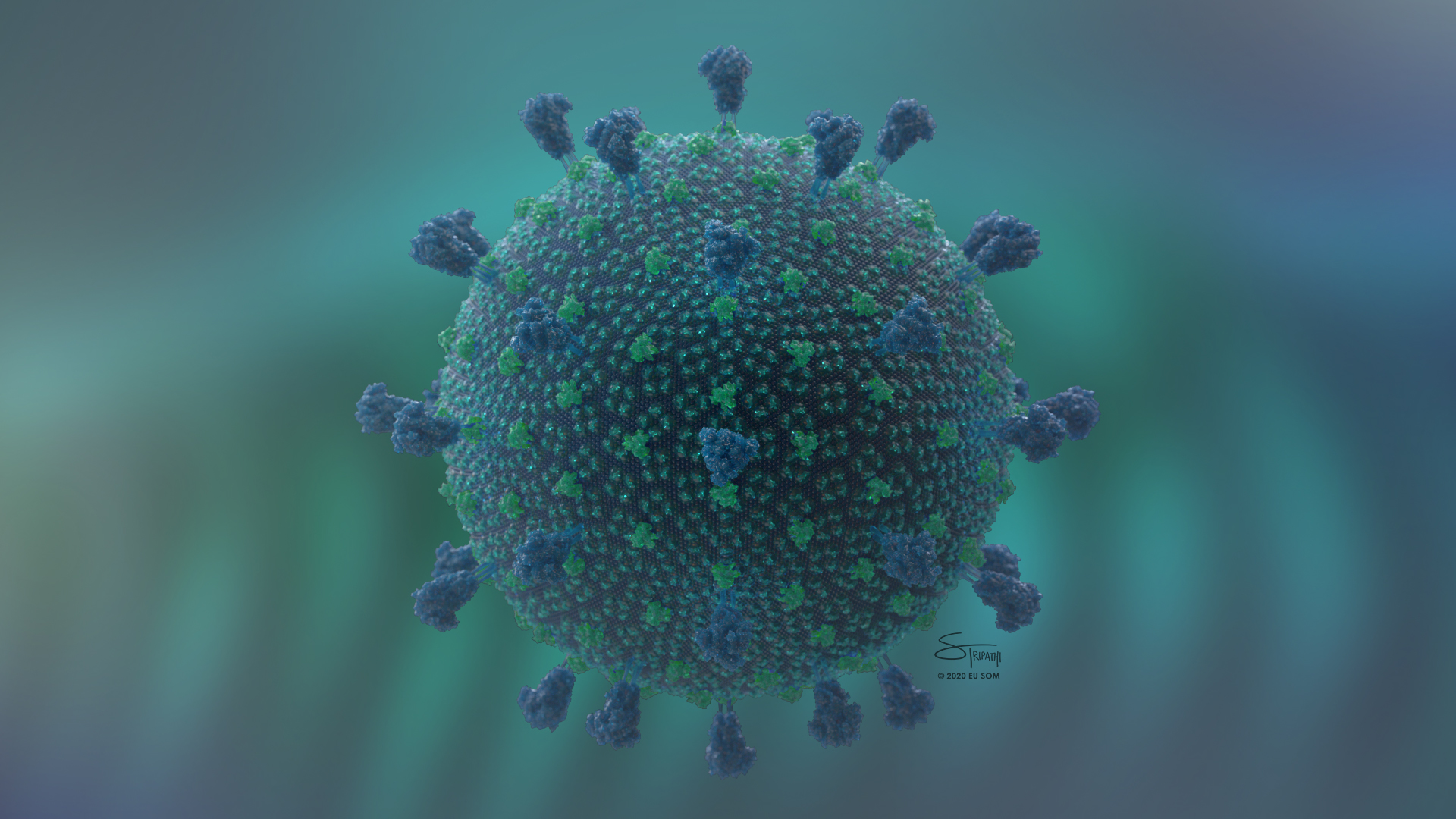 Scientifically accurate illustration of the SARS-CoV-2 virus, including the usrface spike proteins, created by Satyen Tripathi of Emory Univeristy.