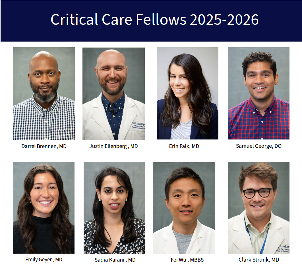 fellows 2025