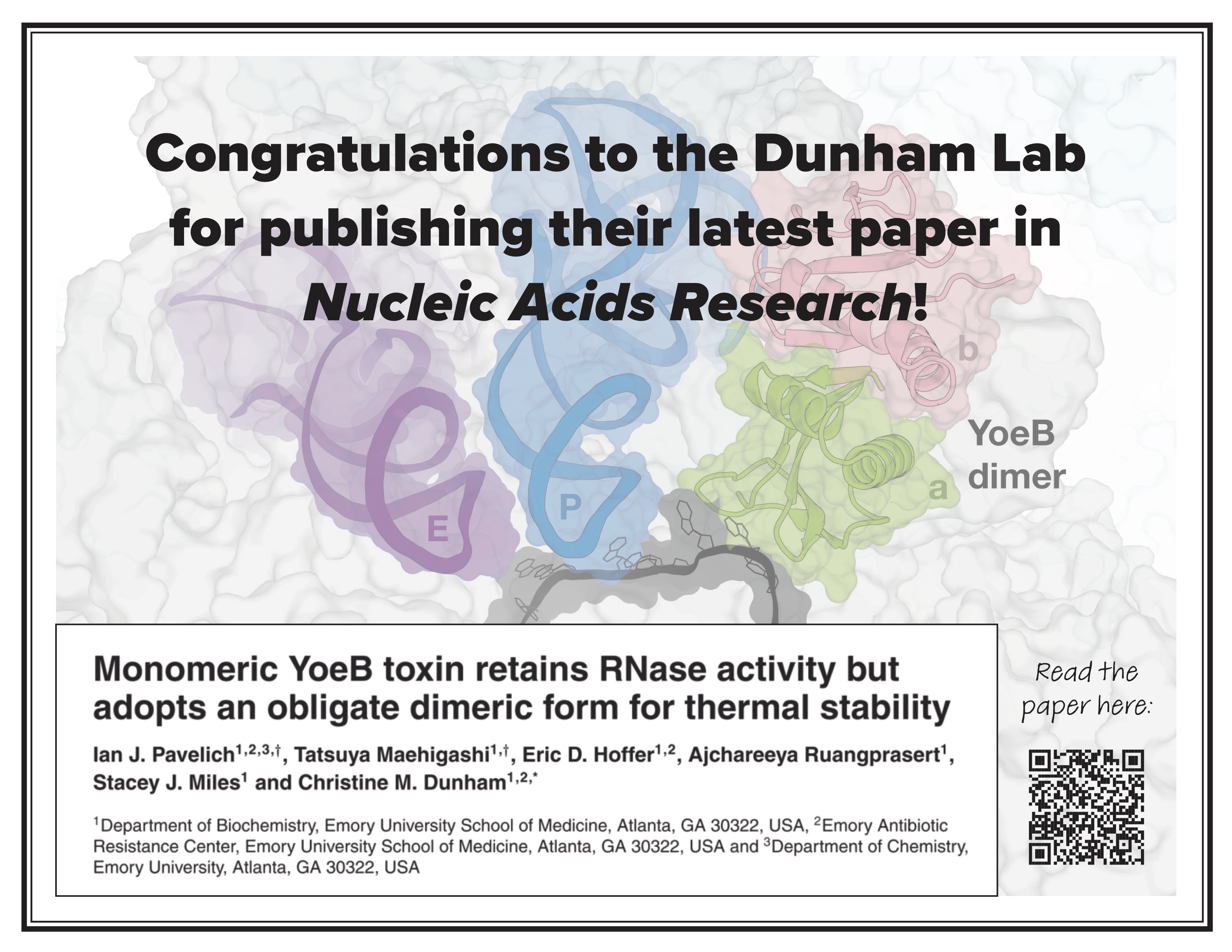 Dunham Lab Publication NAR September 2019