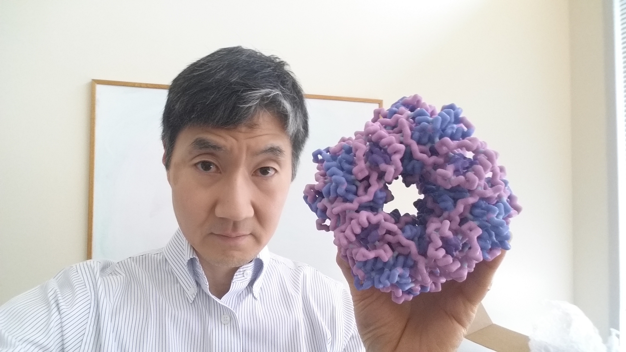 Ichiro Matsumura PhD