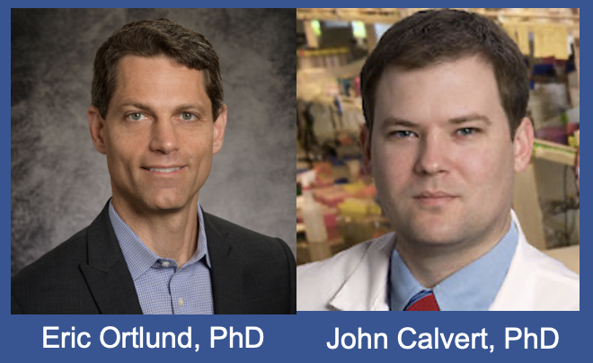 Eric Ortlund, PhD, and John Calvert, PhD