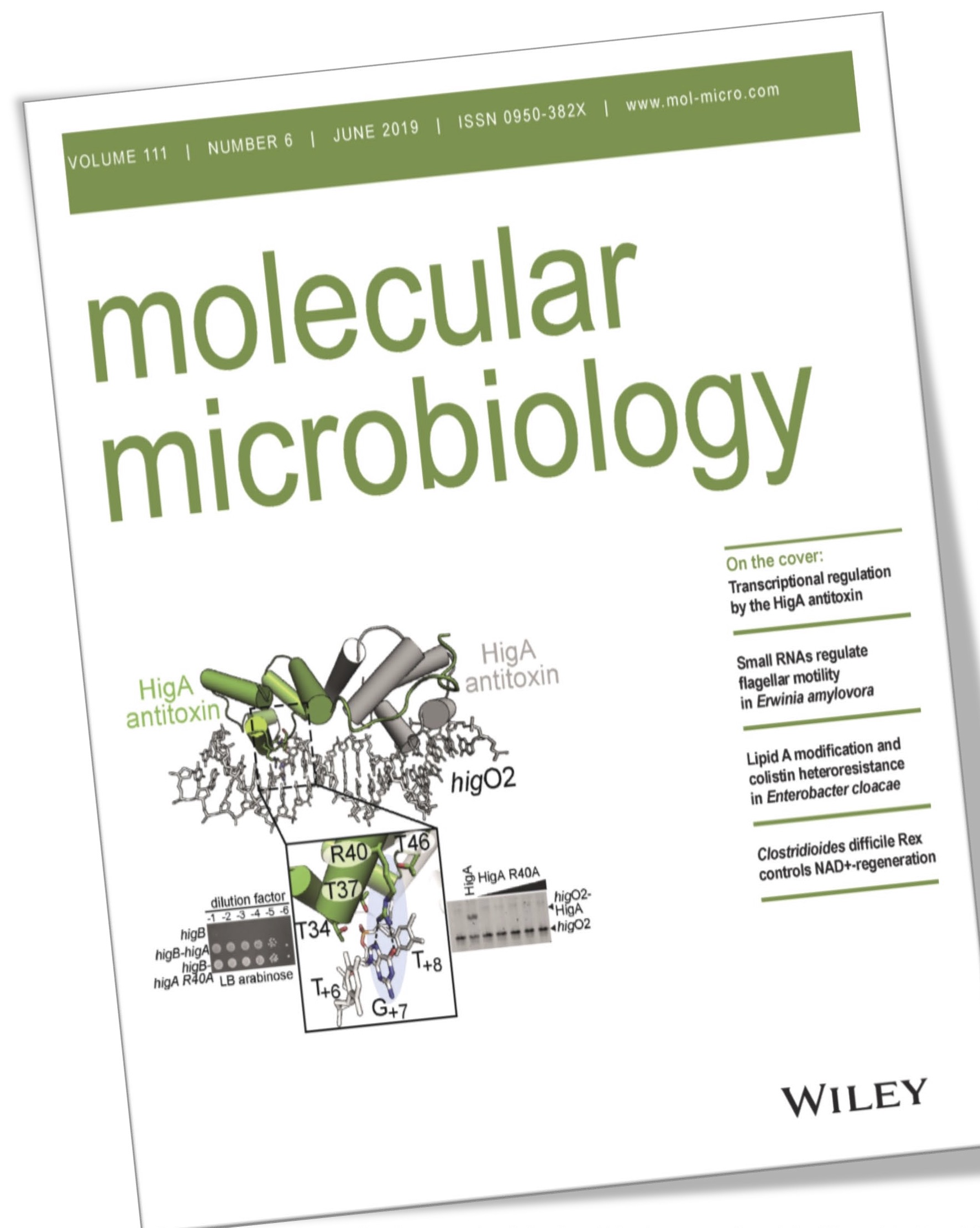 Dunham Lab Cover Molecular Microbiology