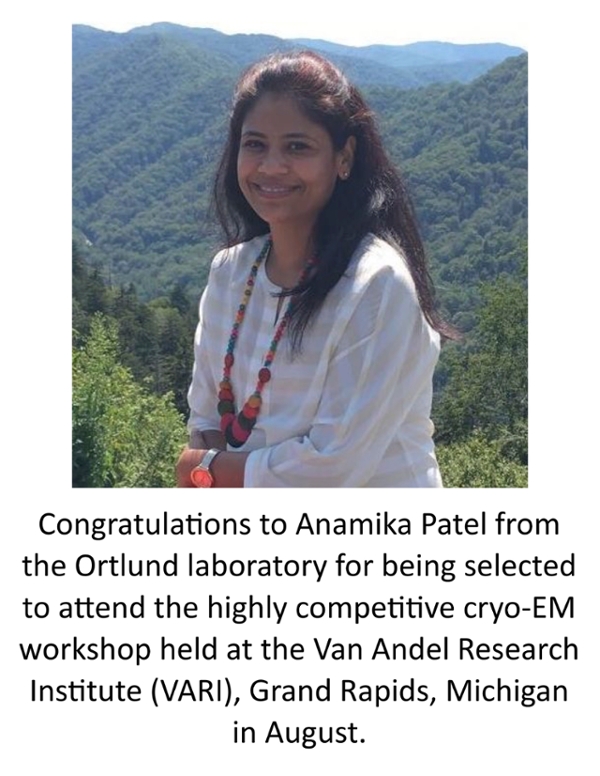 Dr. Anamika Patel workshop
