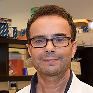 Lahcen Jaafar, PhD