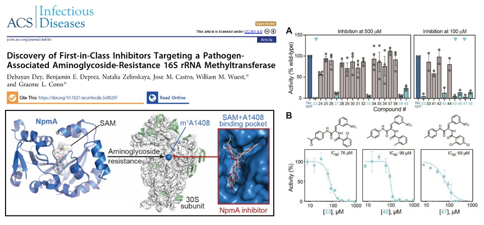 scientific image for ACS publication by Dr. Dey