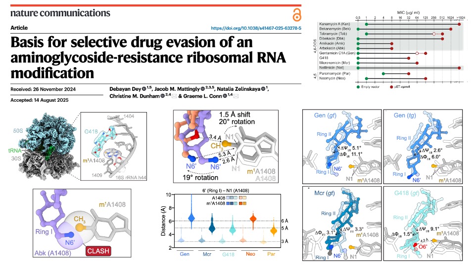 nature communications publication info