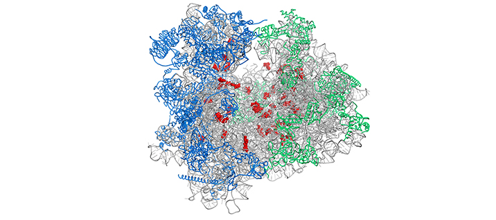 Ghalei Lab Research Image