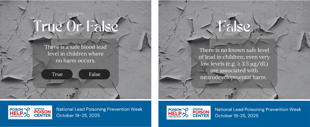 Sunday Lead Poisoning Question