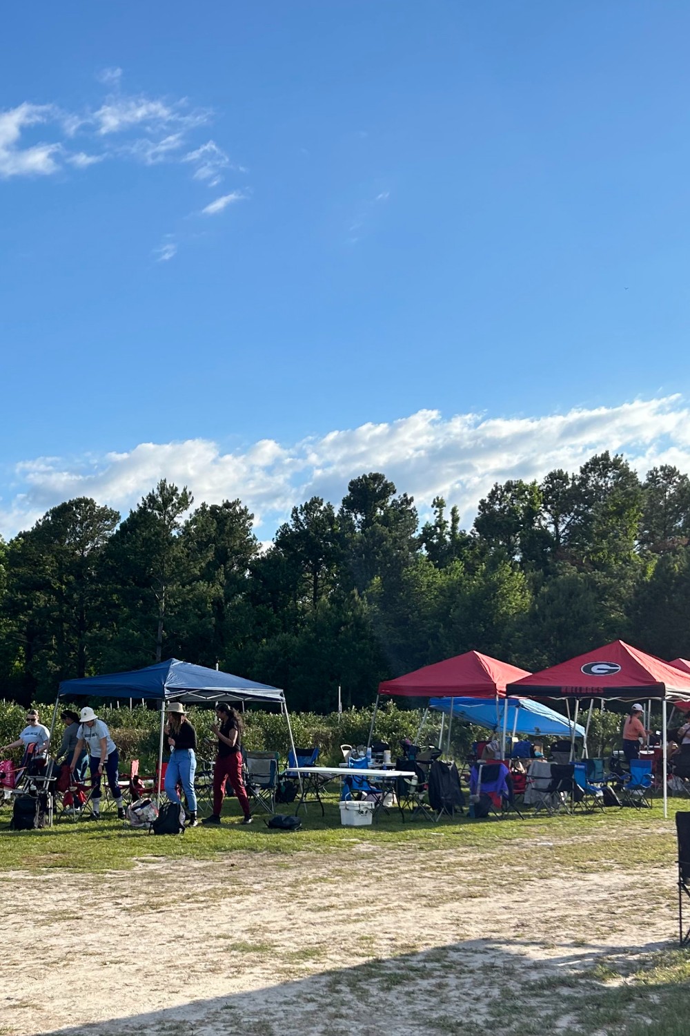 pop up tents in a sunny field with health care workers