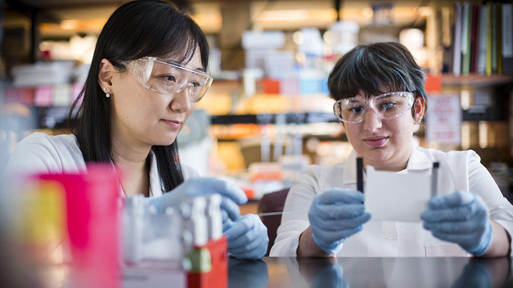 Sumin Kang, PhD in the lab.