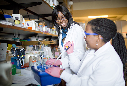Post-doctoral fellows at Winship Cancer Institute