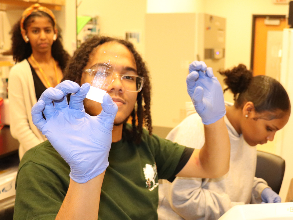 NextGen High School Internship Program