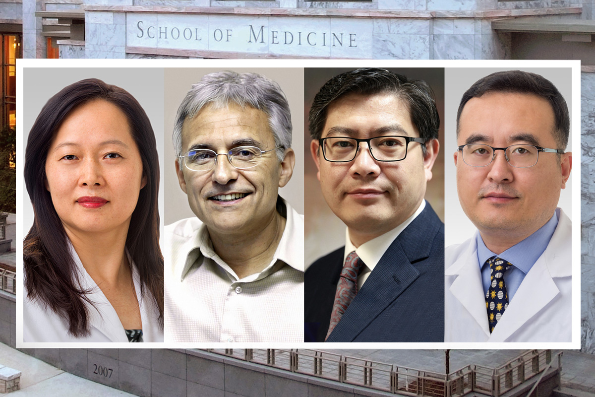 Jindan Yu, Victor Corces, Peng Jin, and Jonathan Zhao.