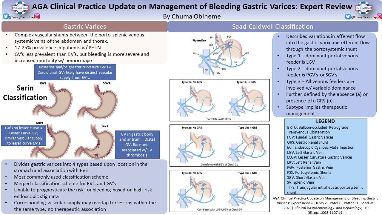 AGA Clinical Practice Update on Management of Bleeding Gastric Varices: Expert Review