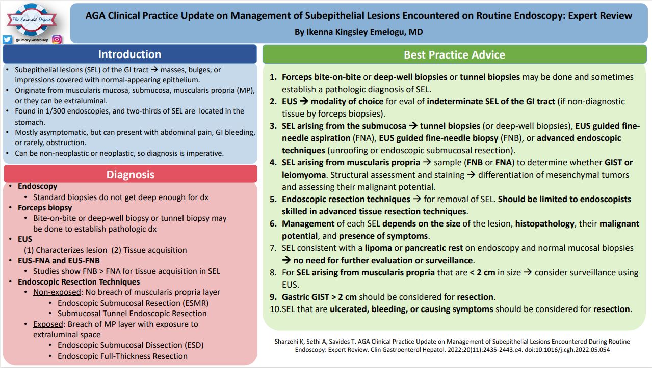 AGA Management of Subepithelial Lesions Pic