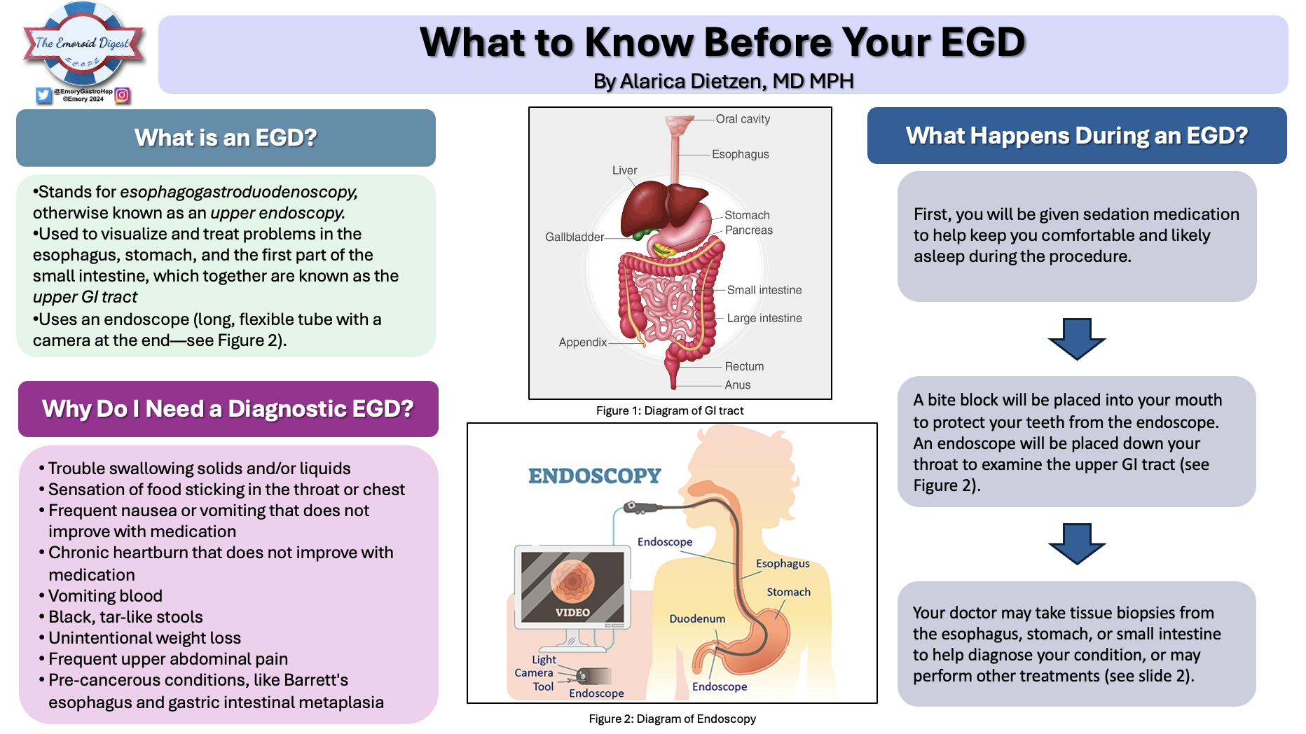 thumbnamil.dietzen.scope.egd.png