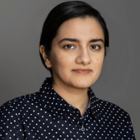 aneese-chaudhry