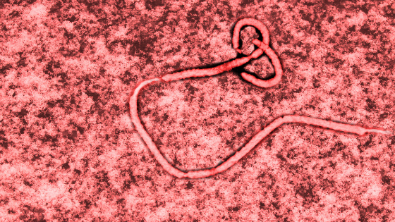 ebola-string-stock-photo