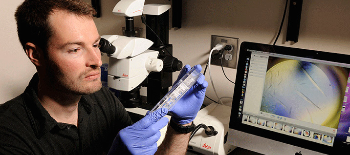 man holding lab samples up to study