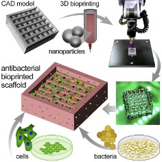 3D bioprinting of nanoparticle-laden hydrogel scaffolds with enhanced antibacterial and imaging properties