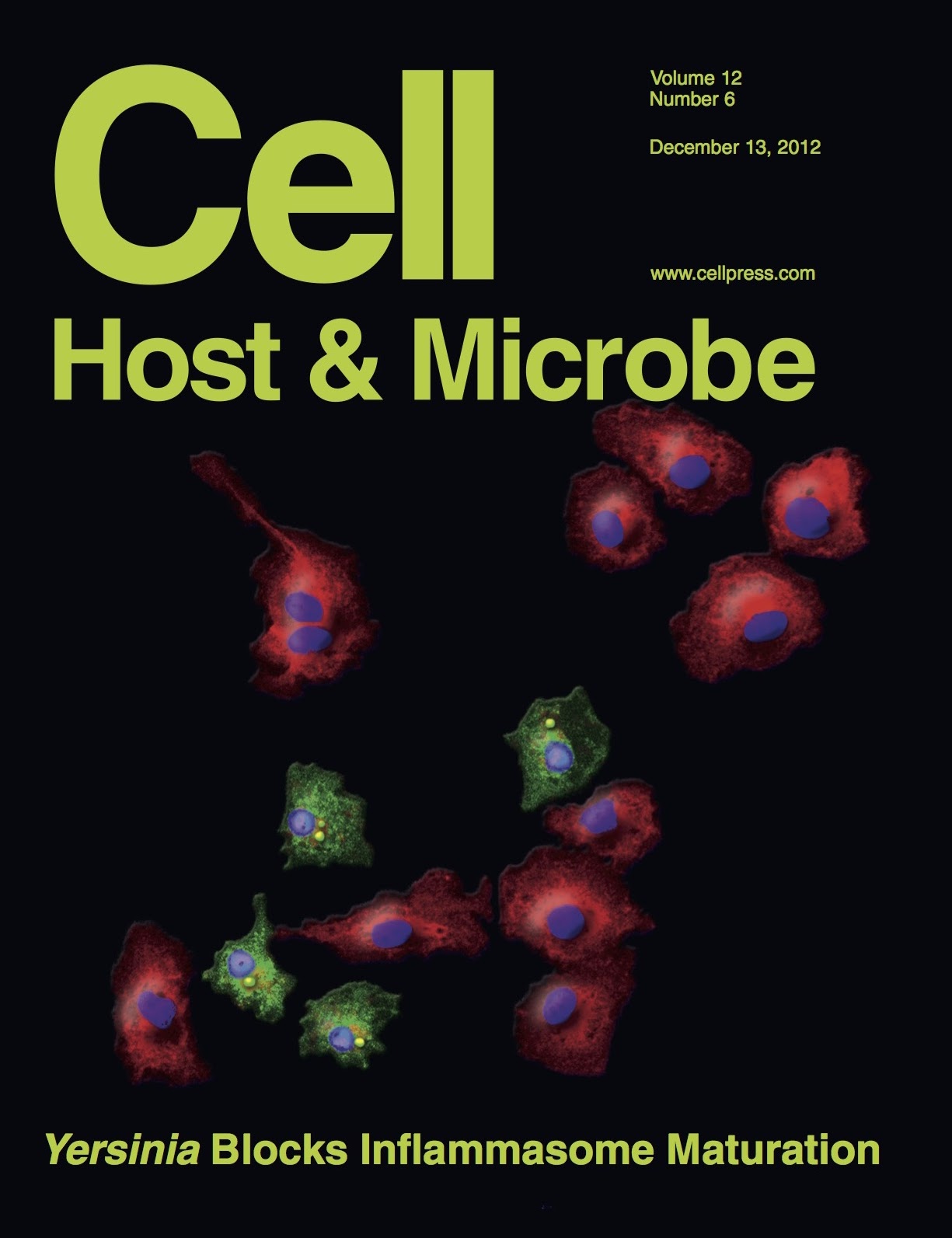 YopM Puts Caspase-1 on Ice