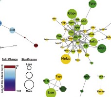 Harmful Bacteria Masquerade as Red Blood Cells to Evade the Immune System