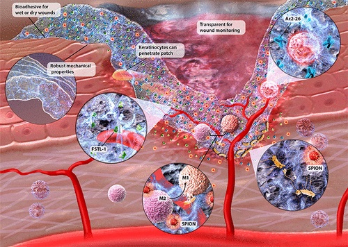 ACS publication 2021