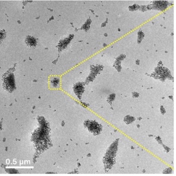 ACS publication figure