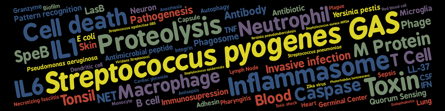 LaRock Lab Research Description Word Art 