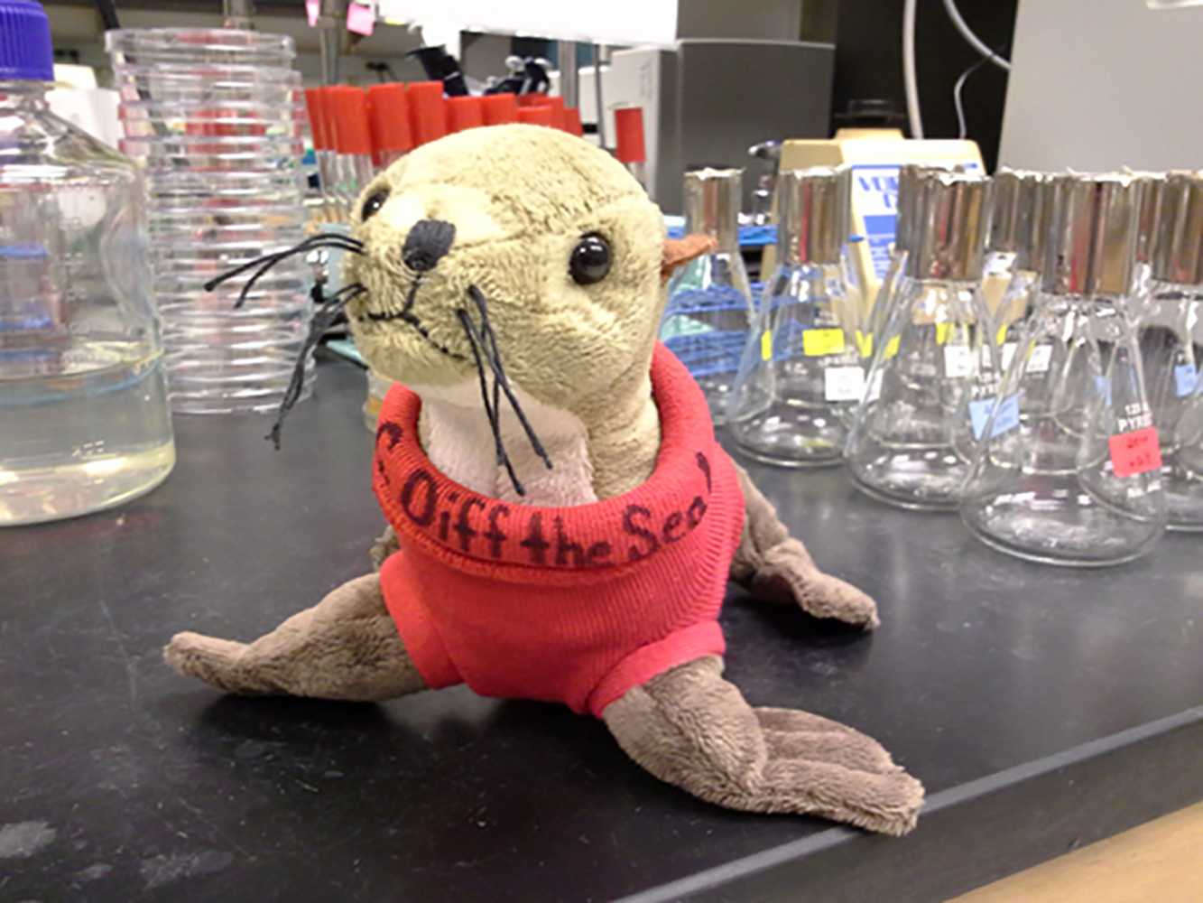 The McBride Lab’s Official Mascott: C. Diff the Seal