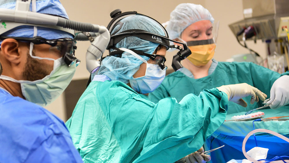 Emory Facial Nerve Center Emory Otolaryngology Emory