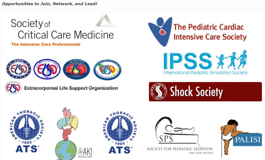Research groups and societies for Critical Care Medicine
