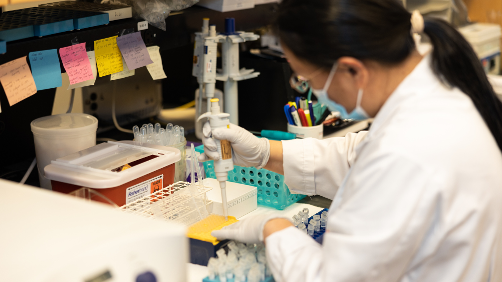 A researcher working in the Infectious Disease department's lab