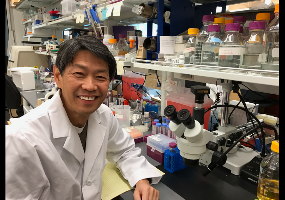 Baek Kim Laboratory