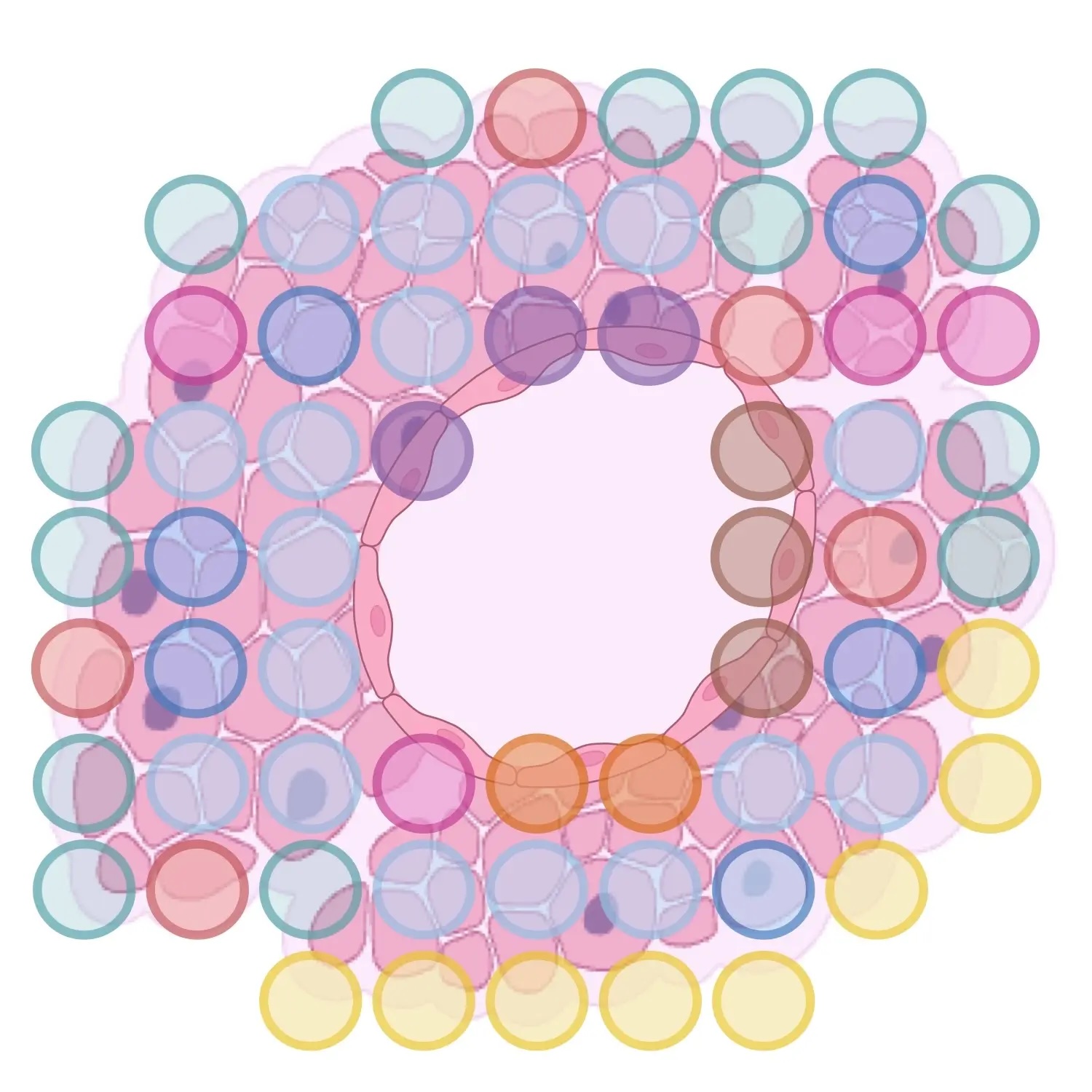 Spatial Transcriptomics