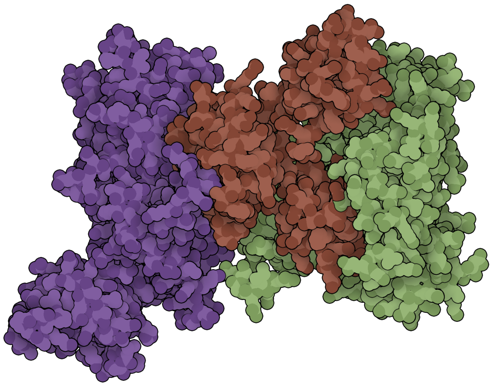 Beyett Lab - Probing Regulators of Kinase Signaling