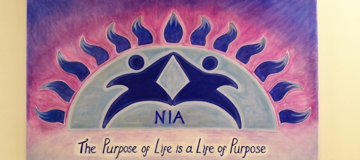 Nia The Purpose of Life is a Life of Purpose