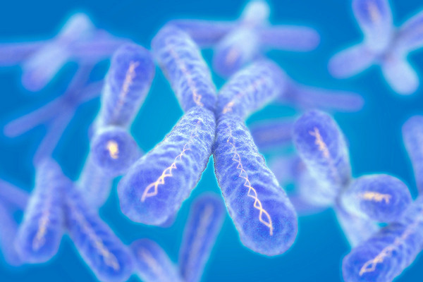 Illustration of chromosomes (stock image)