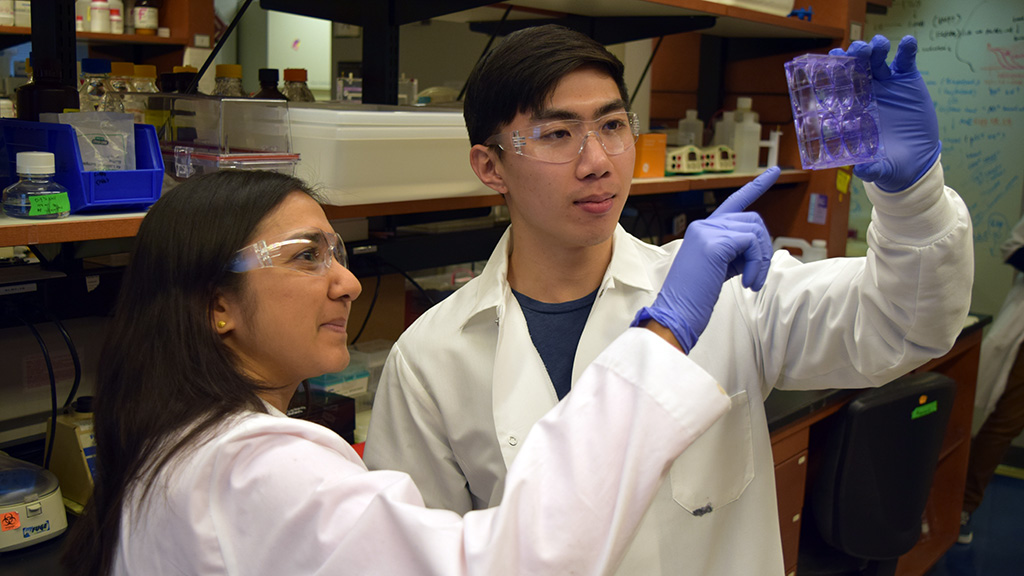 Dr. Aparna Kesarwala in the lab with research fellow Sean Hou.