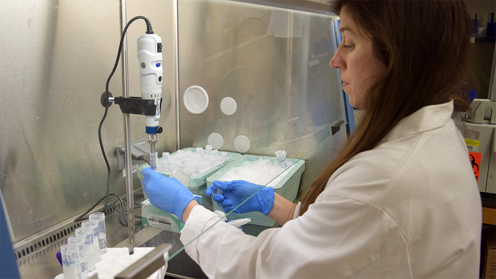 Lisa Sudmeier, MD, PhD, working in the lab.