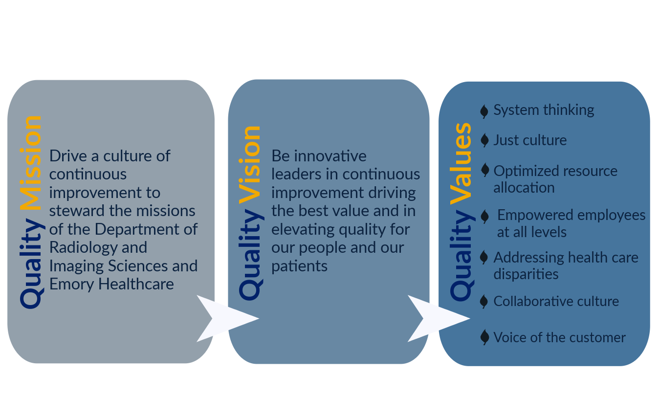 graphic showing the connections among the mission vision and values