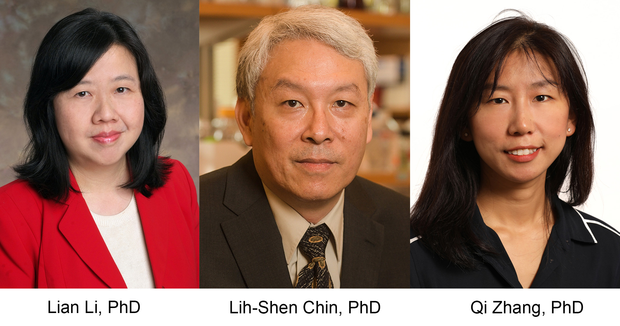 Drs. Li, Chin, Zhang
