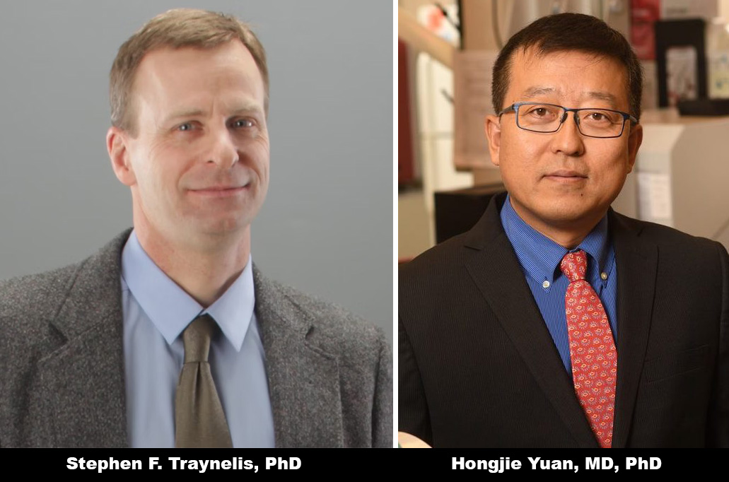 Stephen F. Traynelis, PhD, and Hongjie Yuan, MD, PhD