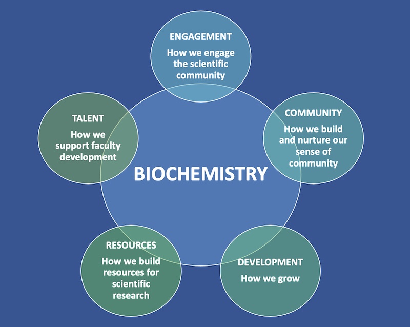 Venn diagram with Biochemistry Dept pillars for success