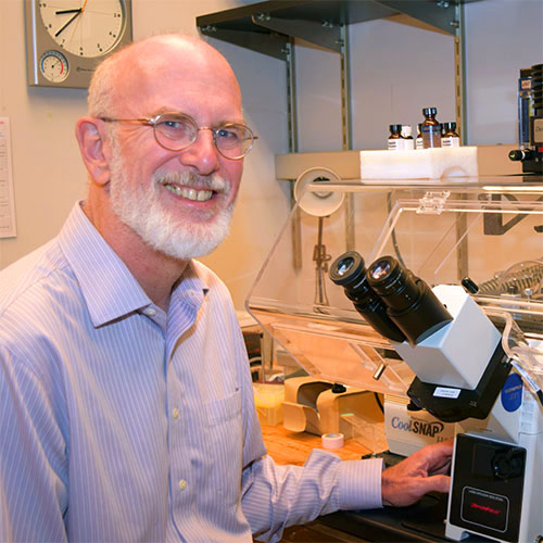 Dr. William Dynan with microscope