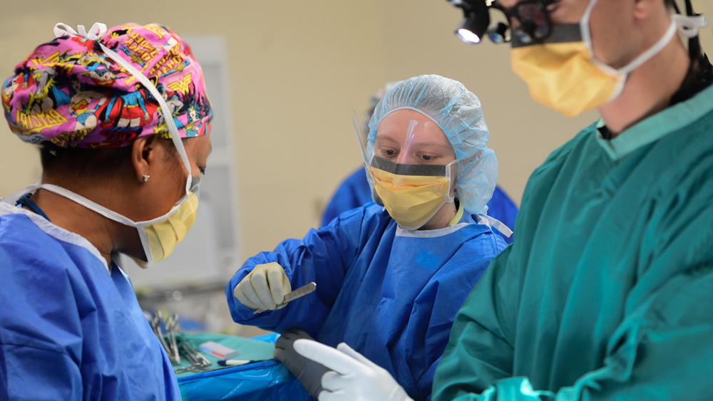 Surgical team in the OR.