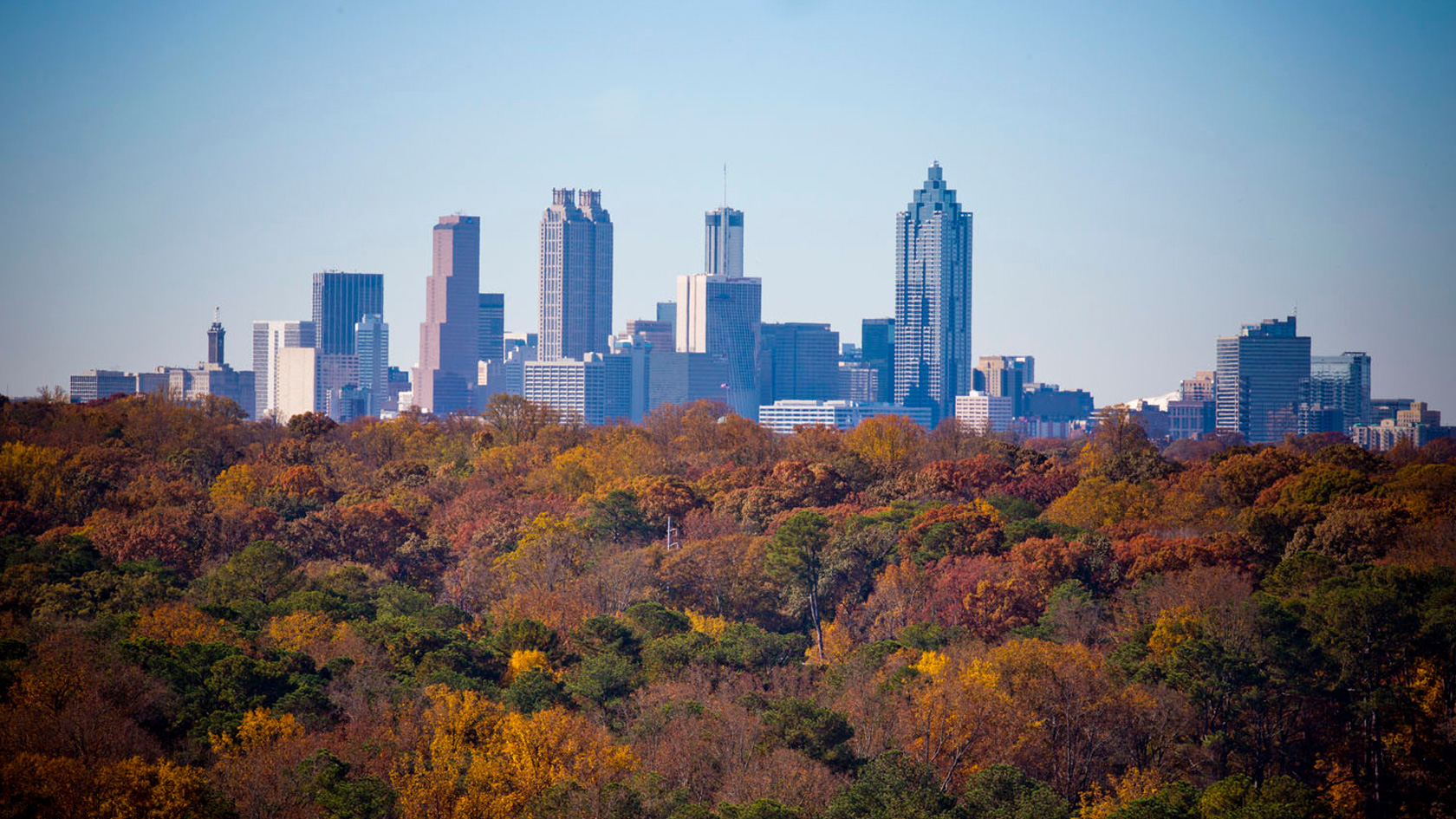 Atlanta skyline with foregrounded trees.